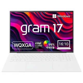4. LG 그램 17..
