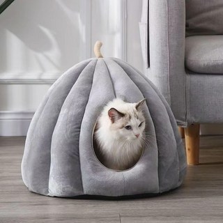 5. 고양이 집 극세..
