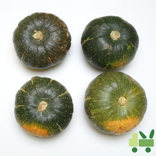 사라상회 뉴질랜드 단호박 10Kg