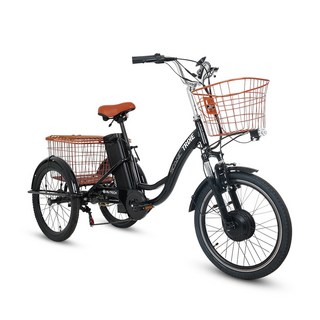 AU테크 스카닉 트라이크 세발 삼륜 전기자전거 36V 10Ah, 스카닉 트라이크 36V 10A {AK}, 1개, 스틸