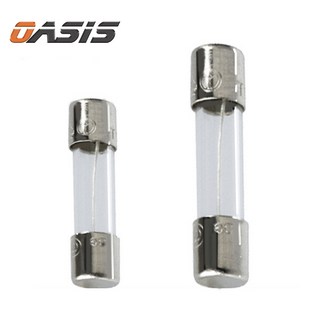 FUSE 유리관 휴즈 20mm 30mm 소형 대형 차량용퓨즈, 소형(5x20mm)100개, 5A, 1개