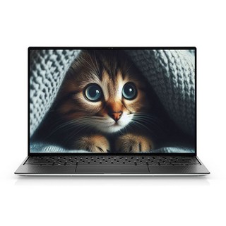 Dell XPS 13 9310 제품 이미지