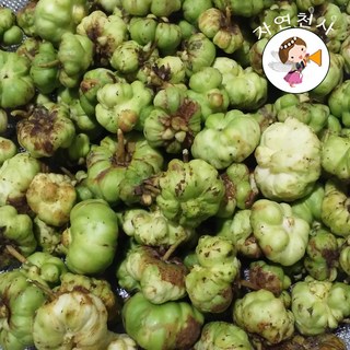 2024년 깊은산 직접채취 건조 충영300g 개다래 줄기600g 직접채취 깨끗한세척 (선택하세요), 300g, 1개