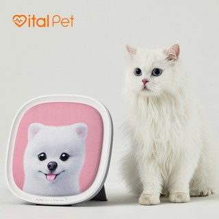 엠씨스퀘어 바이탈 펫 강아지 고양이 분리불안 케어 1개 화이트