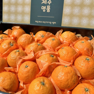 프리미엄 오름향 과일선물세트