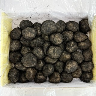 [사군자떡] 흑임자인절미 떡 굳지않는 식사대용 600g 대용량, 40개, 15g