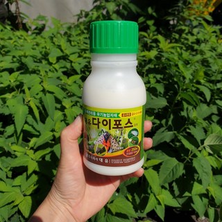친환경 고추 배추 장미 벼룩벌레 진딧물 톡톡이 벌레약, 다이포스, 1개