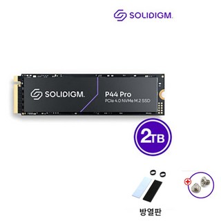 솔리다임 Solidigm P44 Pro M.2 Nvme 2TBGB SSD 국내정품(방열판+고정나사증정), 2TB