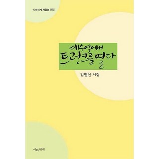 NSB9791185260440 새책-스테이책터 [애수역에서 트렁크를 열다] --시와세계 시인선 45-시와세계-김현신 지음-한국시-20210331 출간-판, 애수역에서 트렁크를 열다