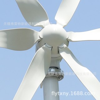 800W 소형 풍력발전기 가정용 자가발전기 풍차, 발전기, 1개