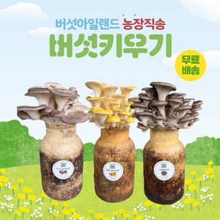 다올 국내산 6종 버섯 명절선물세트