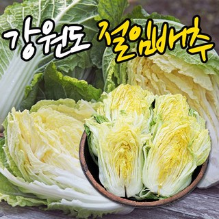 우리존 강원도영월 고랭지 절임배추 20kg(8-10포기)국내산천일염사용 맛있는김치, 20kg, 12월2일출고3일수령