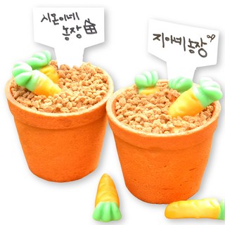 화분도 먹는 당근젤리 컵케이크 만들기 2인 DIY 세트, 1세트, 10종