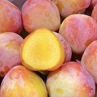 허니삼구 새콤달콤 꿀 자두, 1박스, 2.5kg