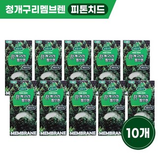 청개구리 멤브렌 10개1SET 차량용방향제 산도깨비멤브렌 자동차방향제, 10개, 피톤치드향