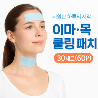 리바 쿨패치 쿨팩 냉찜질 아이스 쿨패치 냉각시트 30팩(2매입) 60개, 30세트