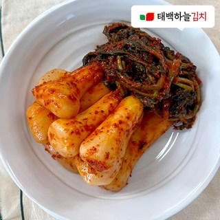 태백하늘 총각김치 국산100%/김장김치, 5kg, 1개