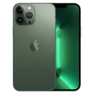 Apple 아이폰 13 Pro Max 자급제, 알파인그린, 256GB