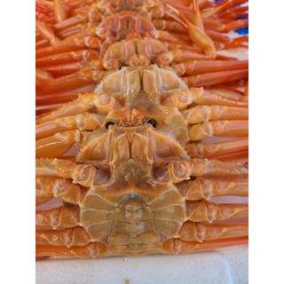 동해안 구륭포 영덕 울진 대게(수율80% 10~13cm), 5마리