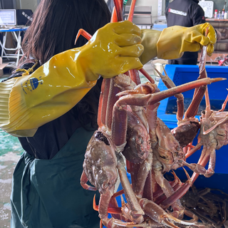 킹콩농수산 특A급 프리미엄 선어자숙대게 1Kg내외, 1개, 1Kg 내외