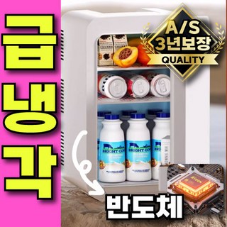 온담 반도체 빠른냉각 차량용 냉장고 냉온장고 온장고 휴대용 미니 자동차 캠핑 차량 캠핑용, 310ml캔6개 수납 12V