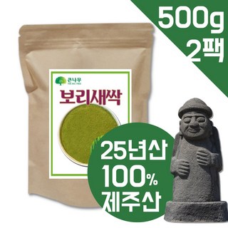 The큰나무 새싹보리분말 1Kg(500gx2팩) 식약처 인정, 2개, 500g