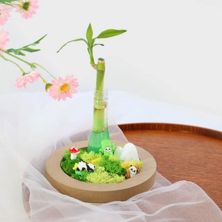 두두엠 개운죽 DIY 패키지