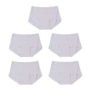 위지이버 자국없는 노라인 모달 팬티 5P KC인증