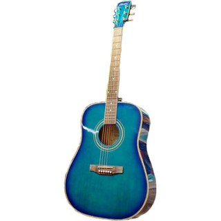 (2024 창고대방출) 심로 SMDG-200 BLG 색상 어쿠스틱 기타, 1개