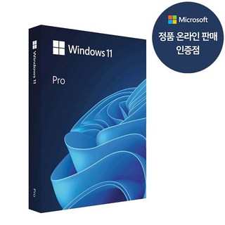 윈도우11 프로 기업용 패키지