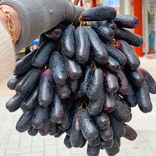 아들셋맘과일 블랙사파이어 크림슨 가지포도 캔디포도 애플청포도 1kg 2kg 4kg, 가지포도(블랙사파이어)900g 내외, 1개