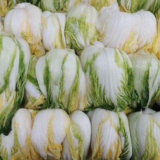 [선일청과] 해남 절임배추 10kg, 1세트