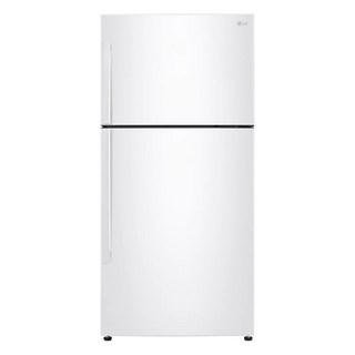 LG 냉장고 소형 원룸 2도어 600리터, LG 일반냉장고, LG 일반냉장고