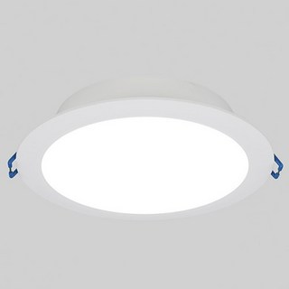 LED 5인치 다운라이트 매입 매립등 DOB 12W, 주광색(하얀빛), 1개
