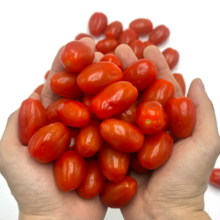방울토마토
