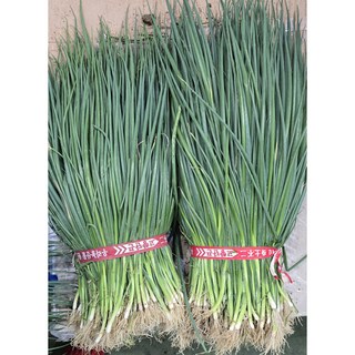 알뜰농장 국내산 신선한 최상품 흙실파(가랑파) 김치용 1단(1.5kg이상) 2단 (3kg이상), 1개, 흙실파(가랑파) (1단)