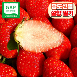[농장직송] 제철 설향딸기 당일수확, 1개, 750g