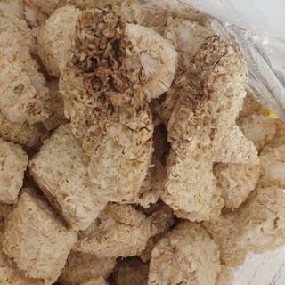 담백하고 고소한 자연의 맛 국내산 말린 건조 흰색 절단 옥수수 속대, 1세트, 600g