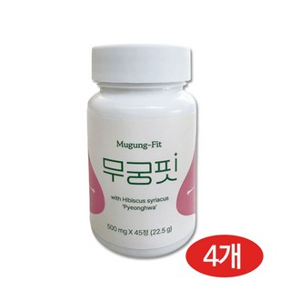 4. [공식] 무궁핏..