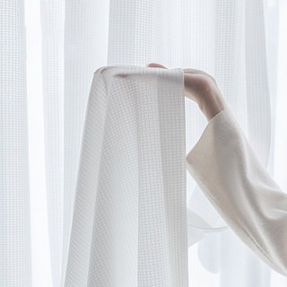 2. 홈키안 여름 자..