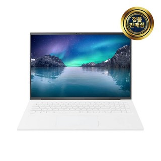 LG 그램 17ZD90R-GX76K