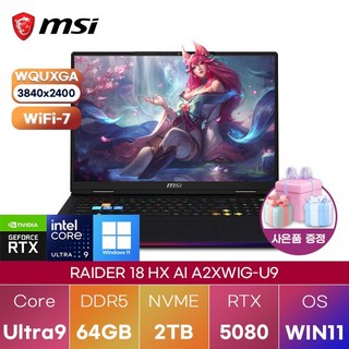 3. MSI 레이더 ..