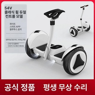 전동휠 호버보드 나인봇 퀵보드 스타리 팔걸이 스쿠터 전동카트, 54v, 1개, 화이트-감쇠 고전
