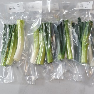 [한끼채]대파 손질 대파 진공포장 1팩100g(총10팩 1kg) 국내산, 100g, 10개