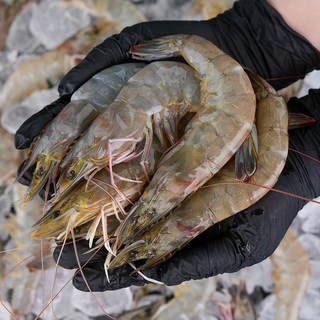 그대의밥상 국산 생물 흰다리새우, 1kg (35미 내외), 1개