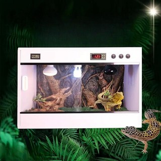 조이클린케이지