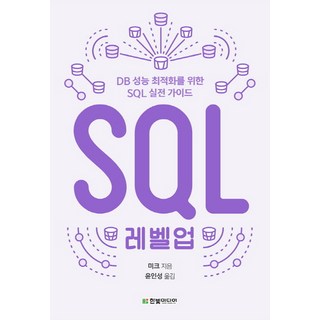 너 혼자서도 할 수 있어! SQL능력자:MySQL 8 기준, 가치랩스, 너 혼자서도 할 수 있어! SQL능력자, 서진수, 손기동, 정진교(저) sql자격검정실전문제 12 SQL 레벨업:DB 성능 최적화를 위한 SQL 실전 가이드, 한빛미디어