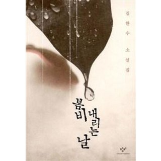봄비 내리는 날:김한수 소설집, 창비, 김한수