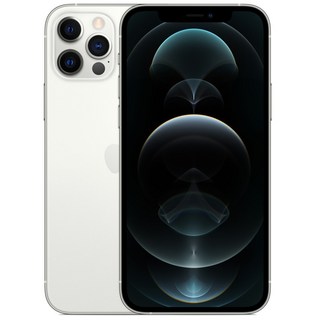 Apple 아이폰 12 Pro 자급제, 128GB, 실버