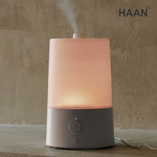 HAAN 무드등 초음파 가습기 4L